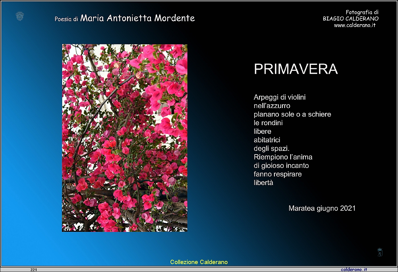 Primavera.jpeg