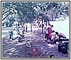 In vespa in Grecia 1980  Daniele, Domenico, Ivano e Giannino 3.jpg
