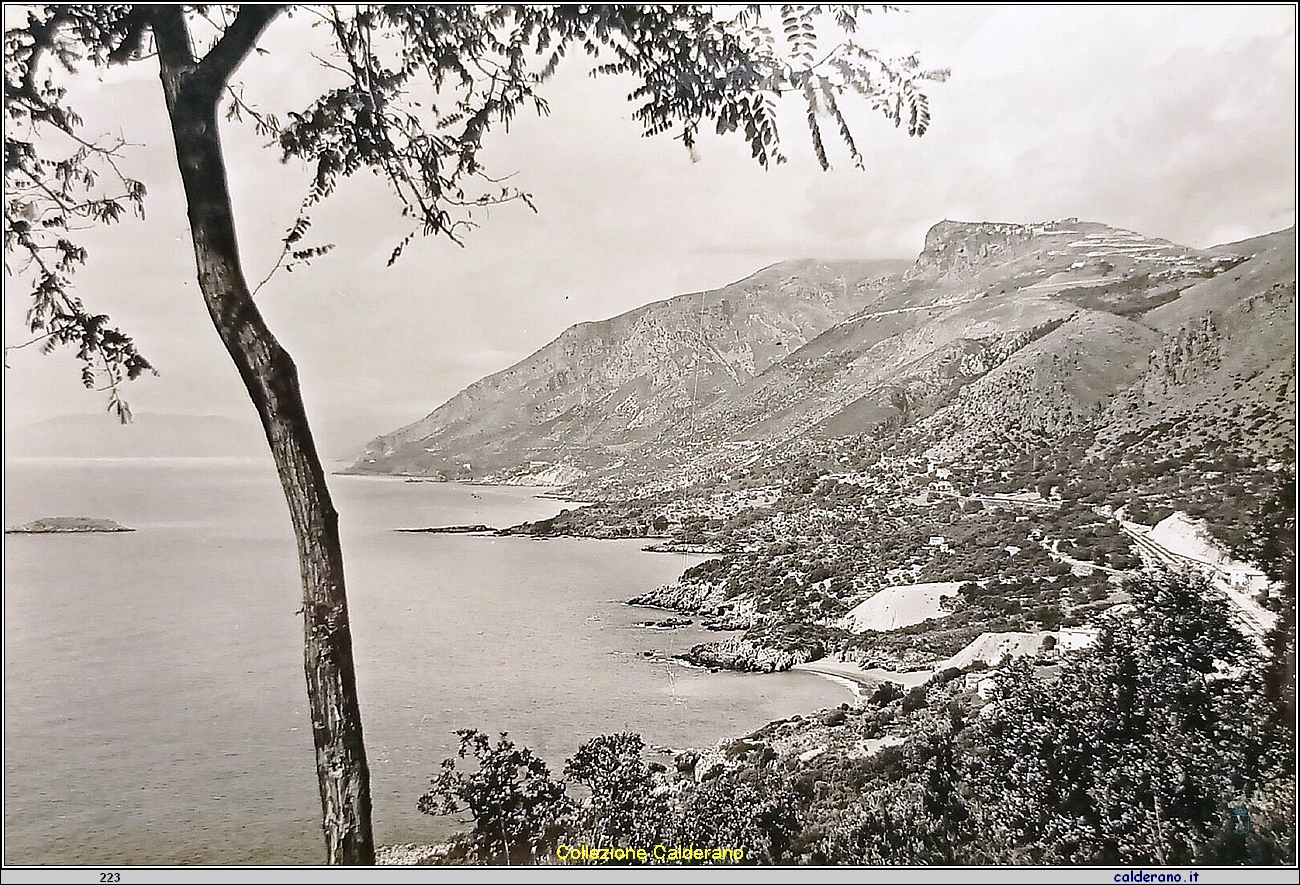 Cartolina - Marina di Maratea - A 11007 Ediz. Rocco Palermo - Bar - Tabacchi 1961.jpg