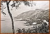 Cartolina - Marina di Maratea - A 11007 Ediz. Rocco Palermo - Bar - Tabacchi 1961.jpg
