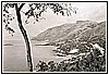 Marina di Maratea - Cartolina A 11007 Ediz. Rocco Palermo - Bar - Tabacchi 1961.jpg