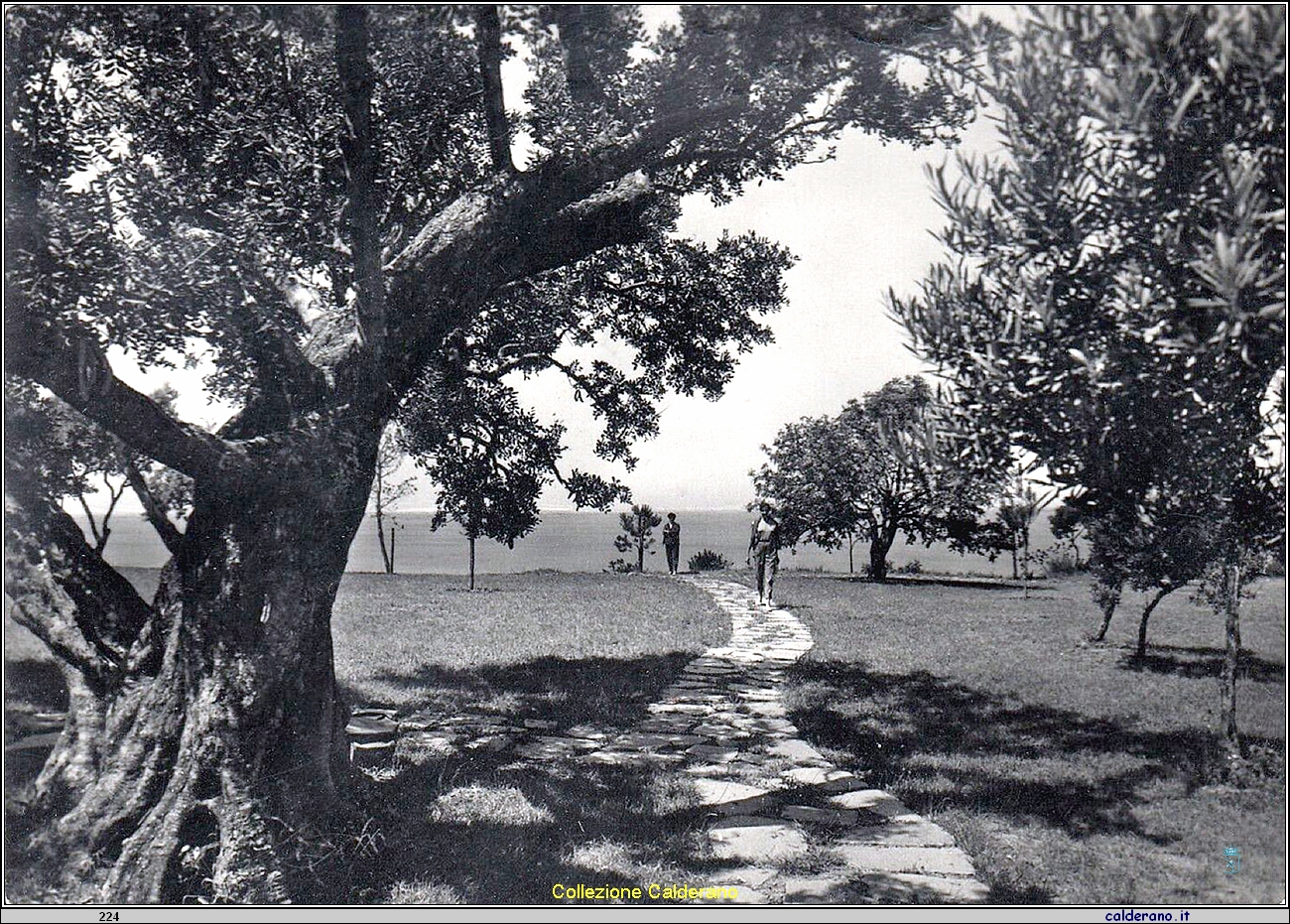 Cartolina - Parco Hotel Santavenere .jpg