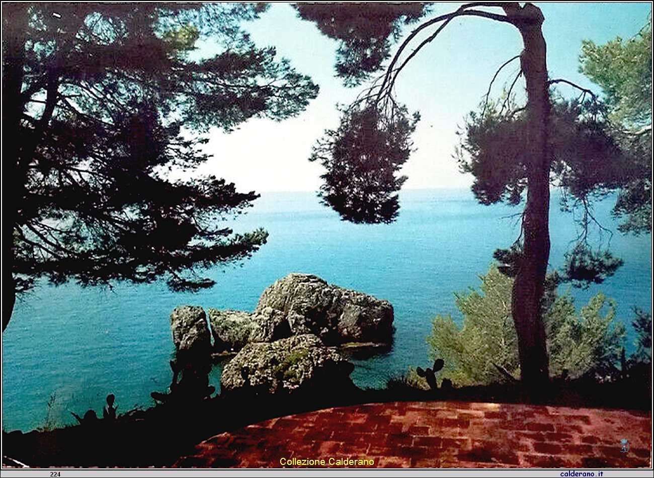 Cartolina - Scogliera - Ediz. Rocco Palermo - Bar - Tabacchi - 1971 a.jpg