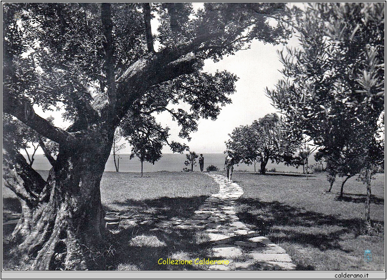 Parco Hotel Santavenere - Cartolina.jpg