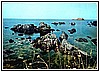 Scogliera - Cartolina Ediz. Rocco Palermo - Bar - Tabacchi - 1971.jpg
