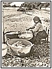 Castrocucco - Lavaggio della lana nel Fiume Noce - 1964 4.jpg