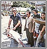 Luigi Limongi e Gaetano De Filippo.jpg