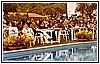 Pubblico per il Premio Maratea - 1984 3.jpg