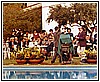 Pubblico per il Premio Maratea - 1984.jpg