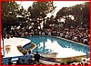 Platea del Premio Maratea 1984 9.jpg