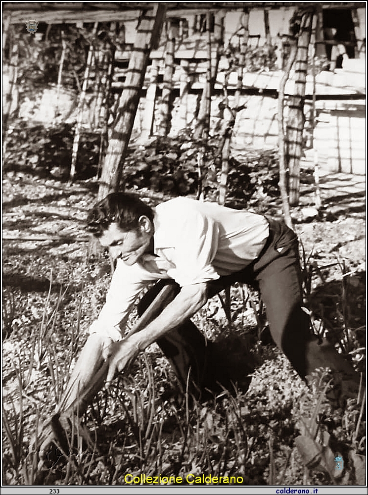Paolo Torino.jpg