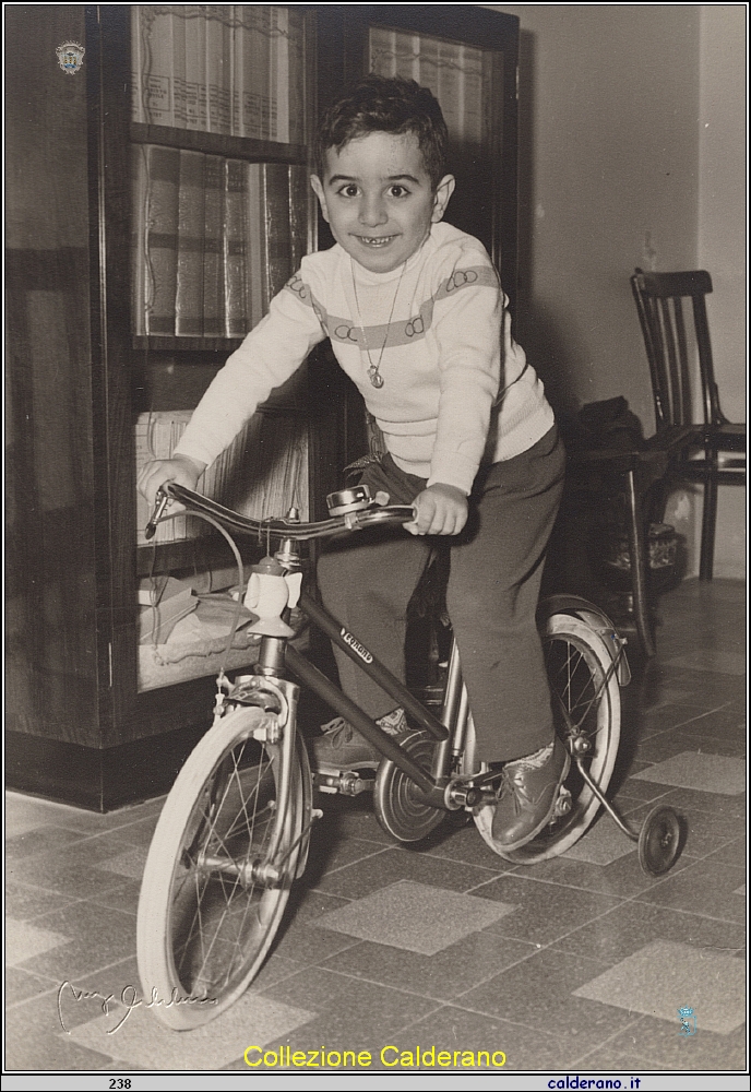 Sulla bicicletta.jpg