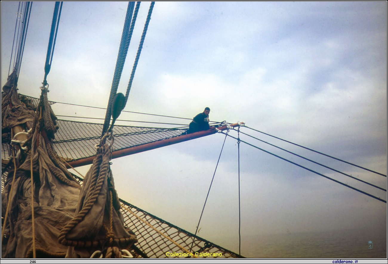 Alessandro sull'albero di Bonpresso della Nave Amerigo Vespucci.jpeg