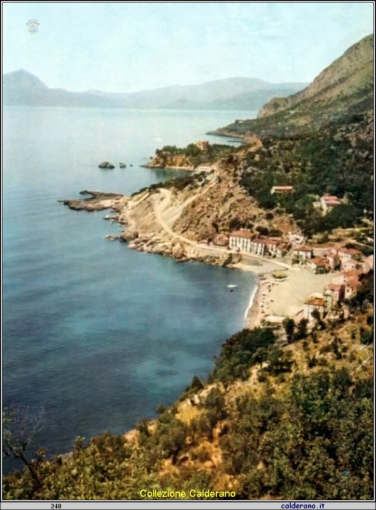 Cartolina - Il Porto primi anni '50 .jpg