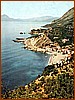 Cartolina - Il Porto primi anni '50 .jpg