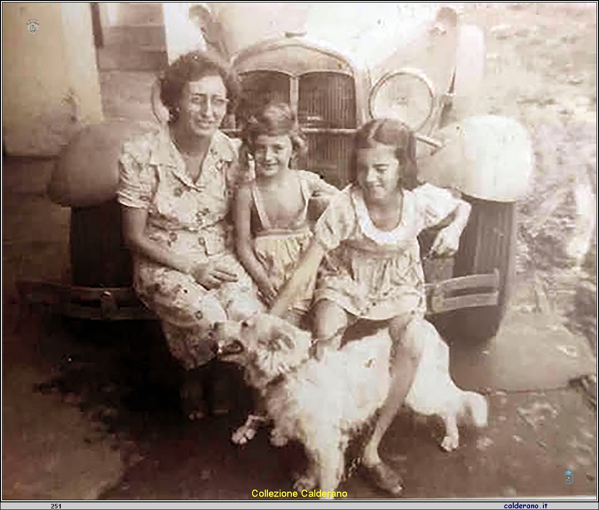Sul paraurti dell'automobile al Porto.jpg
