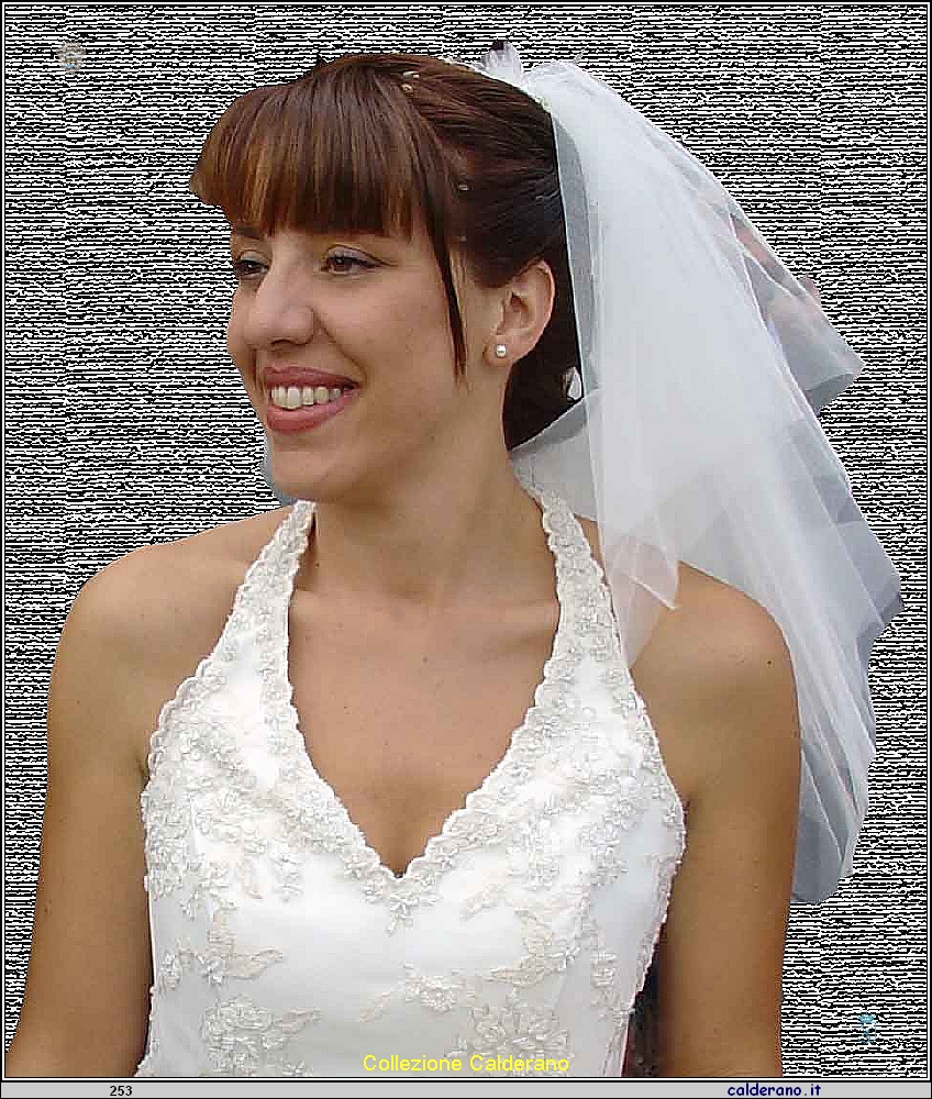 Viviana Limongi nel giorno del suo matrimonio  2006  DSC05363b.jpg