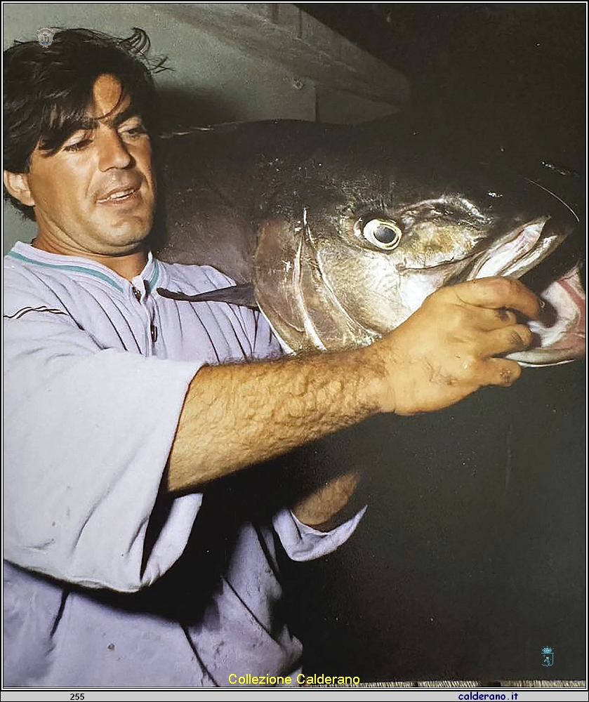 Mimmo Dammiano con una ricciola di 44 kg.jpg