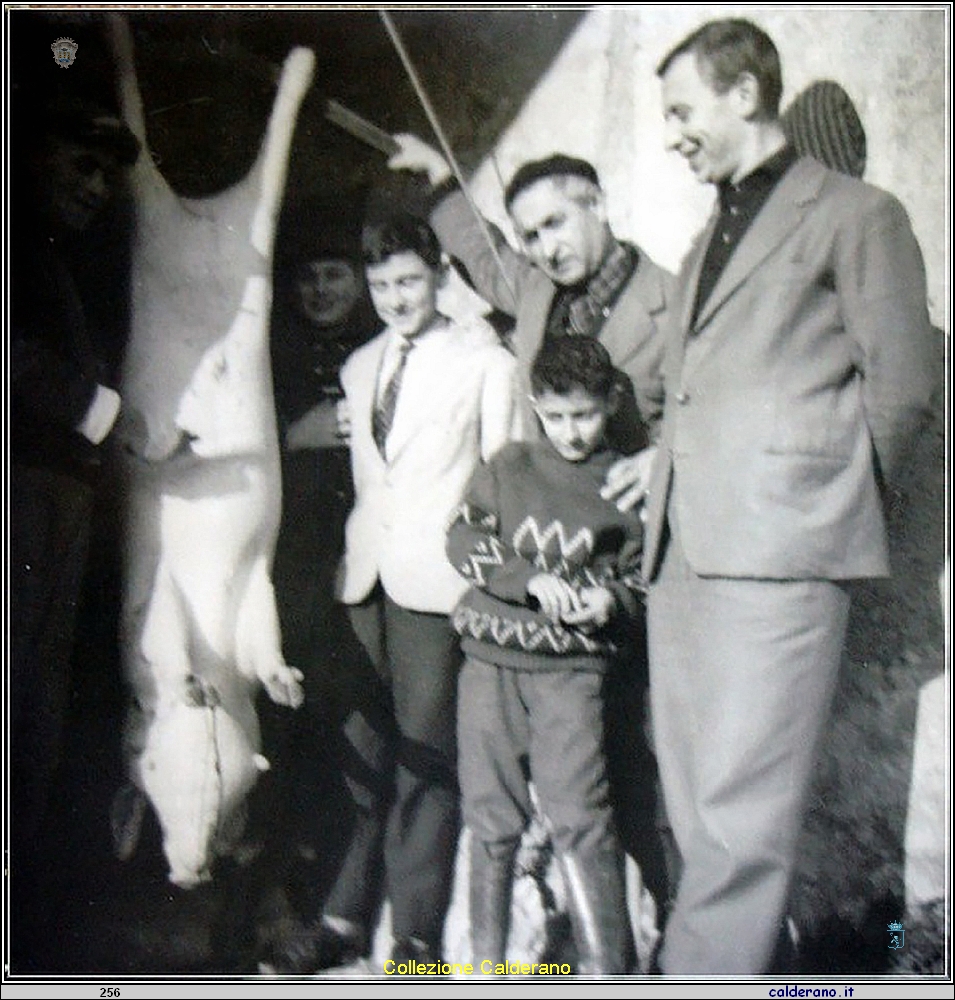 Coiromachia alias Tempi 'i porci.jpg