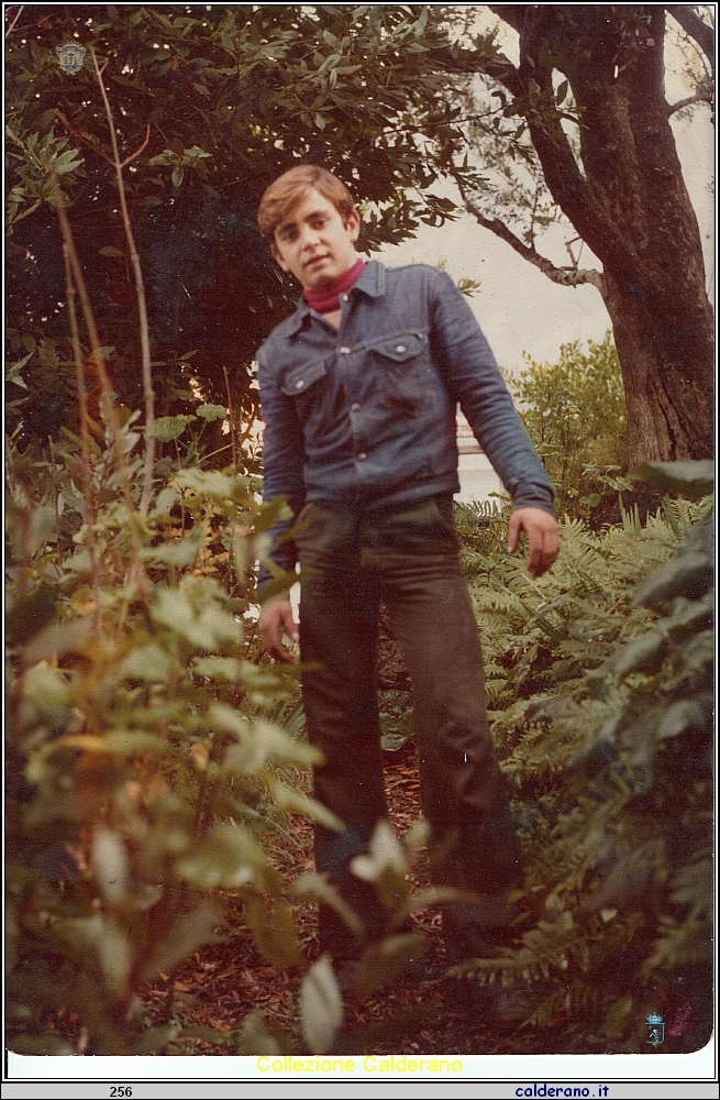 Domenico Brando Monsieur.jpeg