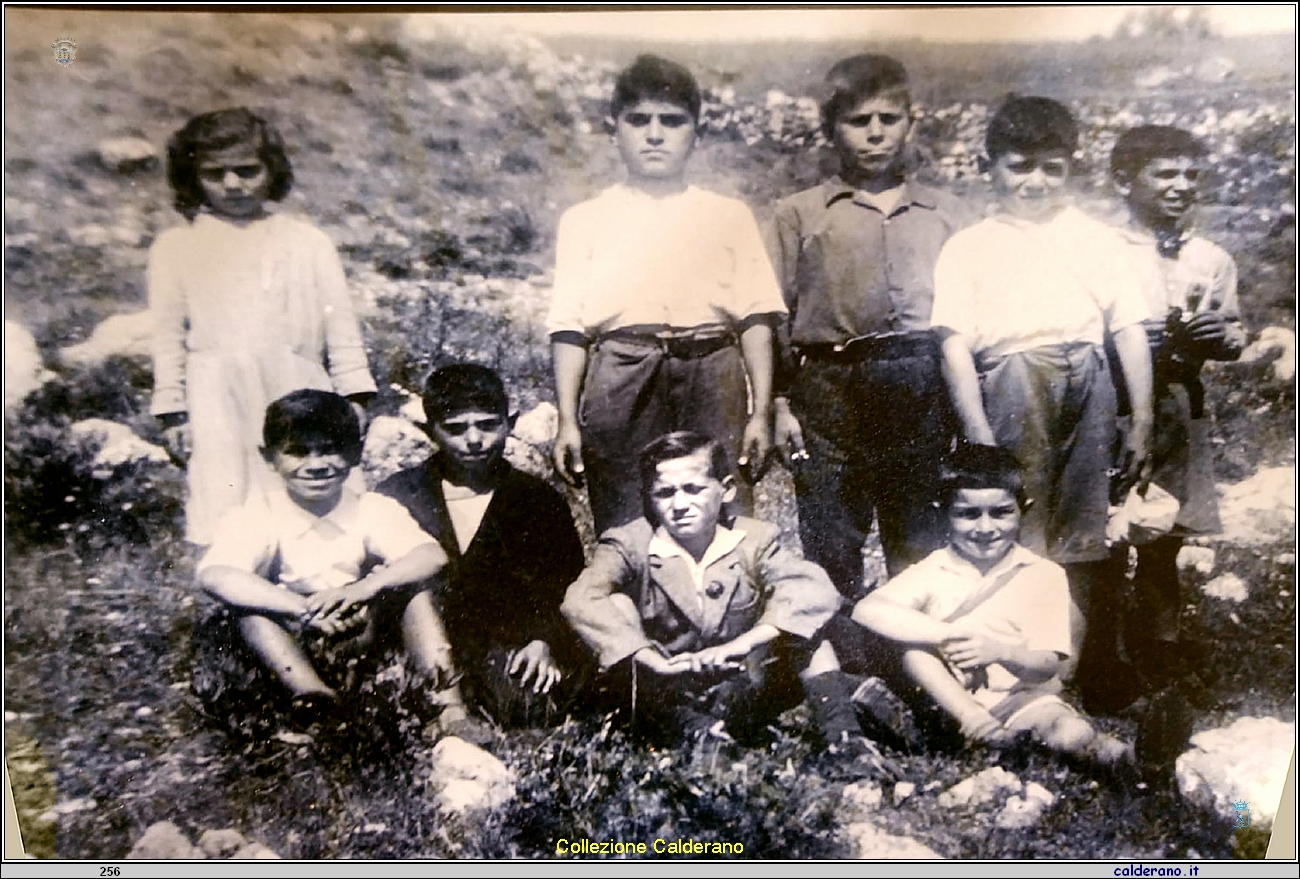 Ragazzi di Massa anni '50.jpg