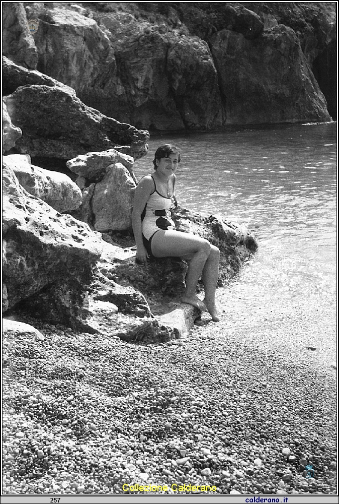 Gina Avigliano img630.jpg