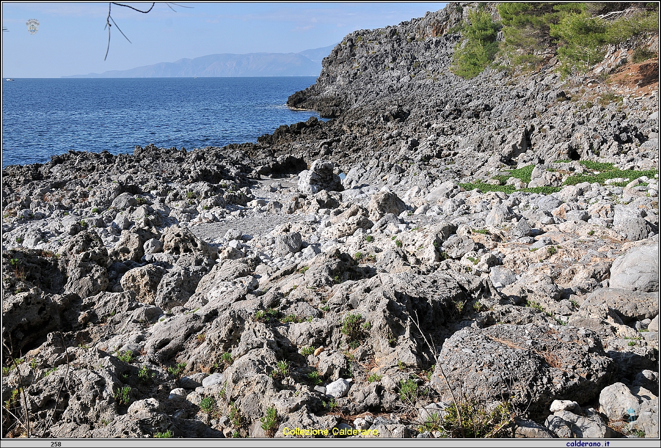 Spiaggetta Renicedda a Cersuta  25 novembre 2011 11S_7928.JPG