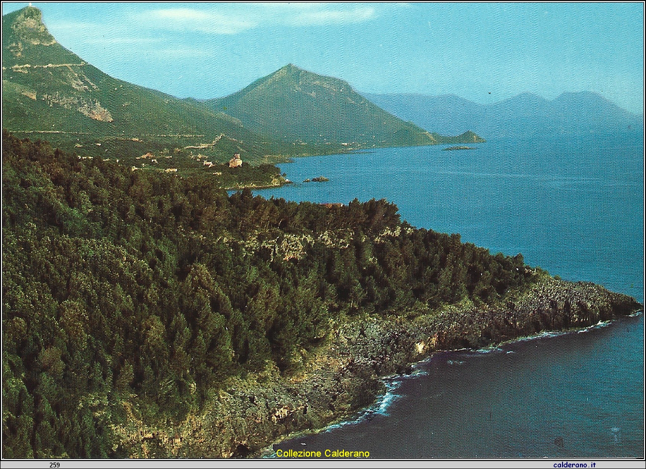 Cartolina - Costiera -.jpg