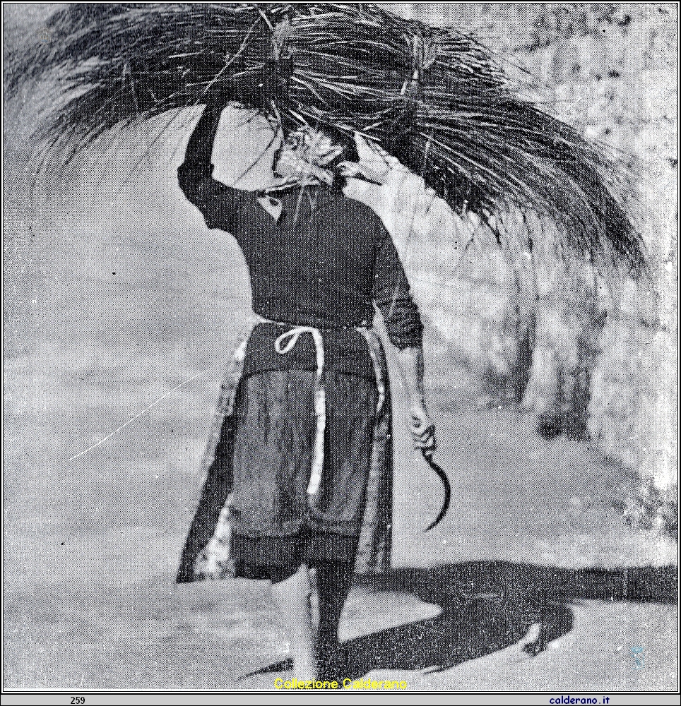 Donna del Porto con un carico di Tagliamani - 1941.jpeg