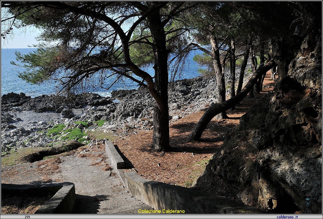 Spiaggetta Renicedda a Cersuta  25 novembre 2011 11S_7909.JPG