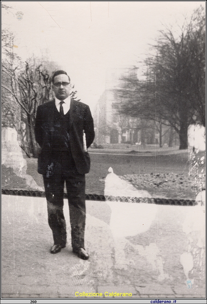 Nicola Olivo.jpg