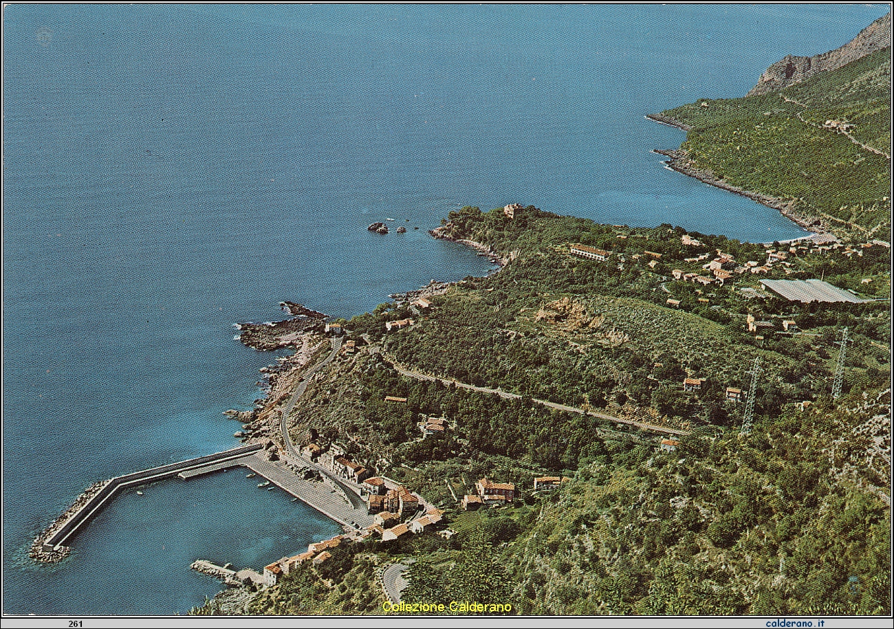 Cartolina - La verde costa sul mare - Ediz. Foto Mario Brando - Telef. 7183 - Maratea .jpeg