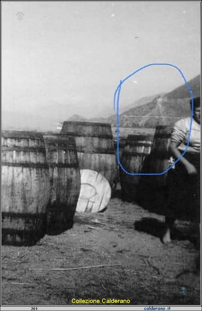 La frana a Castrocucco di anni passati vista tra le botti.JPG