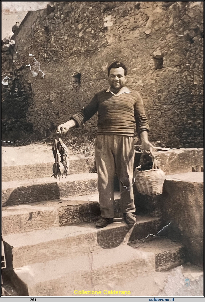 Vincenzo Limongi Scavamorti.jpg