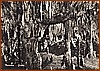 Cartolina - Grotte - Ed. A. Capitolino - tel. 31279 - Sapri .jpeg