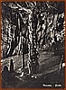 Cartolina - Grotte - Ediz. A Capitolino - Tel. 31279 - Sapri .jpeg