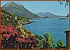 Cartolina - L'Incantevole Costiera - Ed. Mario Brando - Tel. 7183 - Maratea .jpeg