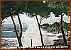 Cartolina - Suggestivi effetti di mare e di sole nei pressi della Darsena - P.R. Art. Foto Mario Brando.jpeg
