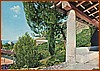 Cartolina - Torre Santa Venere - Ediz. Capitolino - Foto Sapri  .jpeg