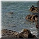 05 Agosto 2008 036.jpg(3,46 MB)