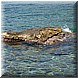 05 Agosto 2008 052.jpg(4,11 MB)