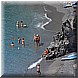 05 Agosto 2008 096.jpg(3,37 MB)
