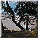 07 Agosto 2008 018.jpg(4,80 MB)