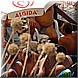 07 Agosto 2008 028.jpg(3,19 MB)