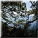 07 Agosto 2008 041.jpg(4,73 MB)