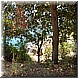 07 Agosto 2008 059.jpg(4,84 MB)