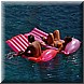 07 Agosto 2008 073.jpg(3,13 MB)