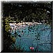 07 Agosto 2008 075.jpg(4,56 MB)