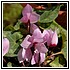 44Aprile 001 - 108 KB