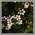 44Aprile 006 - 122 KB